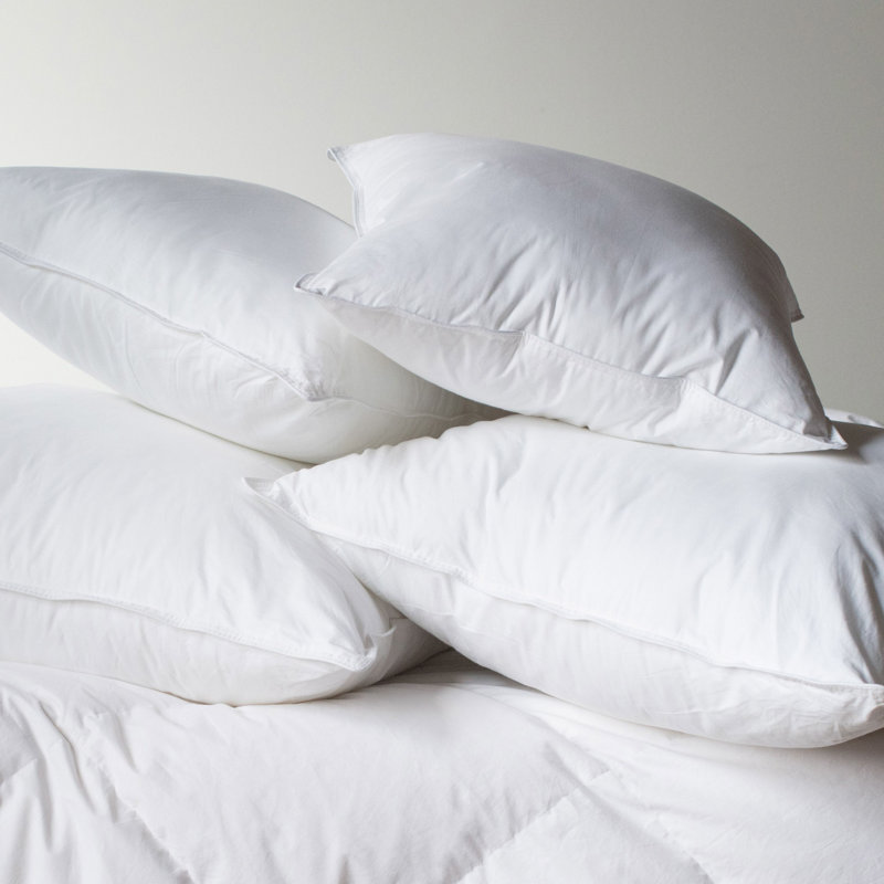 Down Alternative Throw Pillow Insert - 2 Pack, 24"H x 24"W