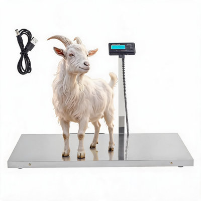 Bétail - Balance de plancher numérique robuste de 1 100 lb, plateforme en acier inoxydable de 40,5 po x 20,9 po, balance pour animaux de ferme et de ferme pour chiens, chèvres, unités kg / oz / lb, balance industrielle pour animaux de compagnie