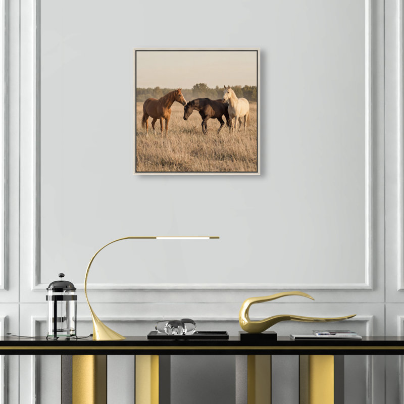 Peaceful Freedom Print by Oliver Gal, 17" H x 17" W, Silver Floater Frame