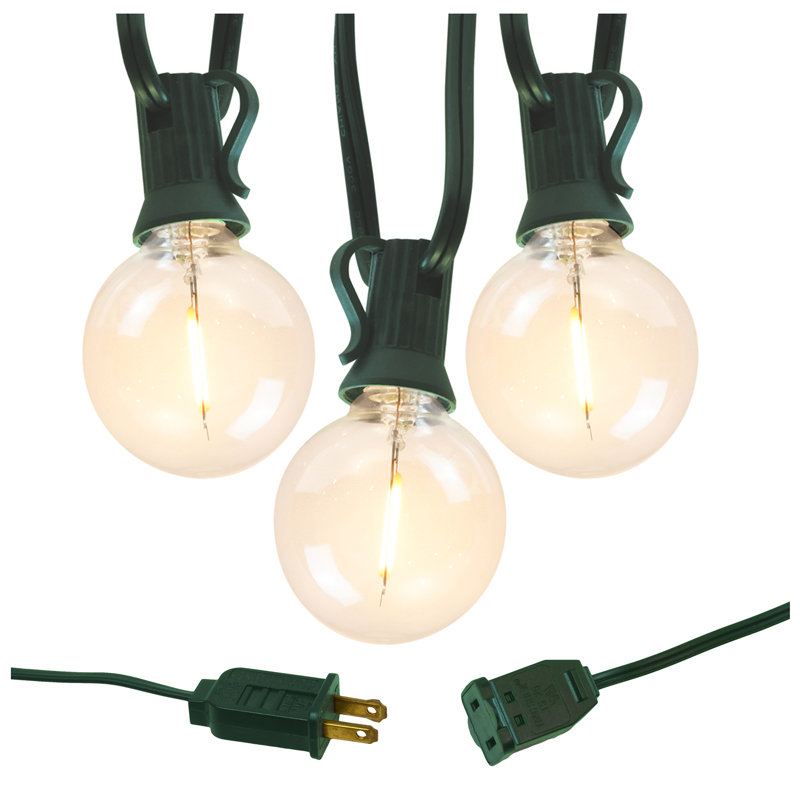 Bailey-Mai Electric LED Globe String Lights with 25 Clear Bulbs