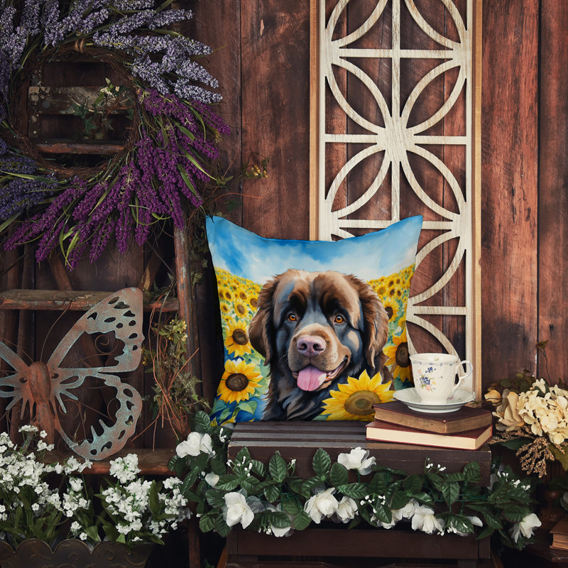 Other/No Pattern Outdoor Throw Pillow, 14" H x 14" W