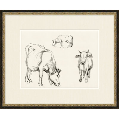 Country Cow Sketches " Country Cow Sketches 5 "