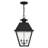 Fraida Bulb Outdoor Hanging Lantern-22670232