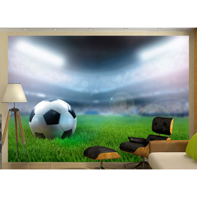 World Cup 231cm x 350cm Wallpaper