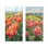Pivoines dans la prairie roulante I - Jardin, ensemble de 2 décorations murales en métal