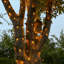 Failsworth 2050cm LED Battery Powered 200 - Bulb Fairy String Light-890037969