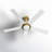 Isobel 60'' Ceiling Fan with LED Lights