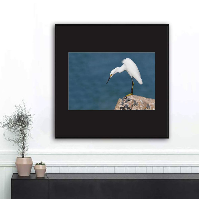 Crane Heron " H07 A Bird Standing ", Black, 24" H x 24" W