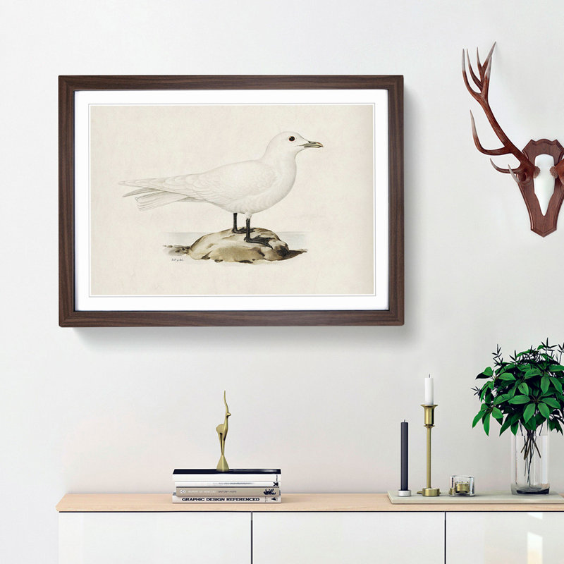 Ivory Gull by Von Wright - Framed Print, 36cm H x 48cm W x 2cm D, Walnut Framed
