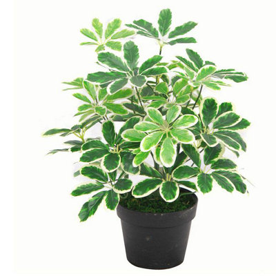 55cm Faux Plant in Pot Liner