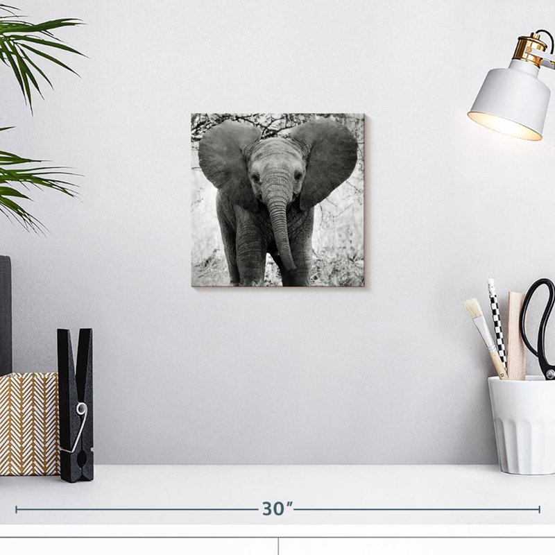 Brampt Funny Eared African Elephant