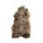 Caribou est en rupture de stock
