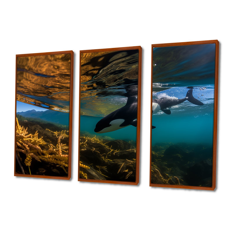 Orque nageant dans un lagon bleu - ensemble d'art mural animaux côtiers, Cadre flottant brun, H 32 po x l 48 po x P 1 po