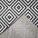 Ammons Indoor / Outdoor Rug
