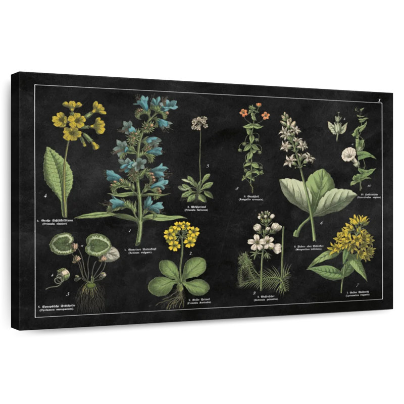 Tableau botanique Harnek I noir et blanc, H 16 po x l 24 po