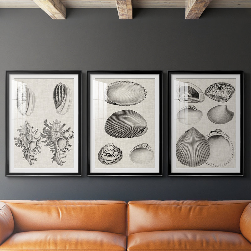 Charbon et coquilles de lin VII, Noir, H 21 po x l 30 po