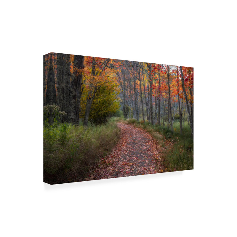 " Autumn Drive II ", 22" H x 22" W