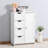 Chales Freestanding Bathroom Cabinet