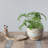 Gwyneth Ceramic Statue Planter