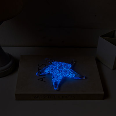 Sculpture nautique décorative Ashayra Glow-In-The-Dark