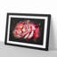 Pink Rose Flower Vol.4 - Picture Frame Graphic Art-62804230-62804228
