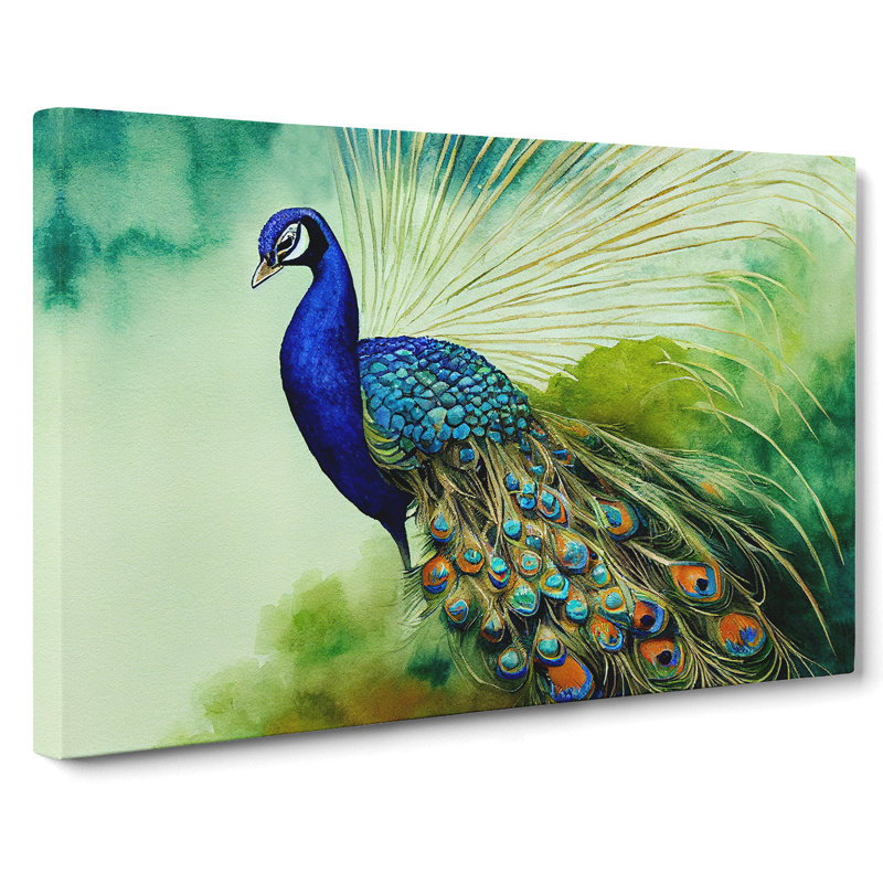 Peacock - Wrapped Canvas, 35cm H x 50cm W x 3cm D