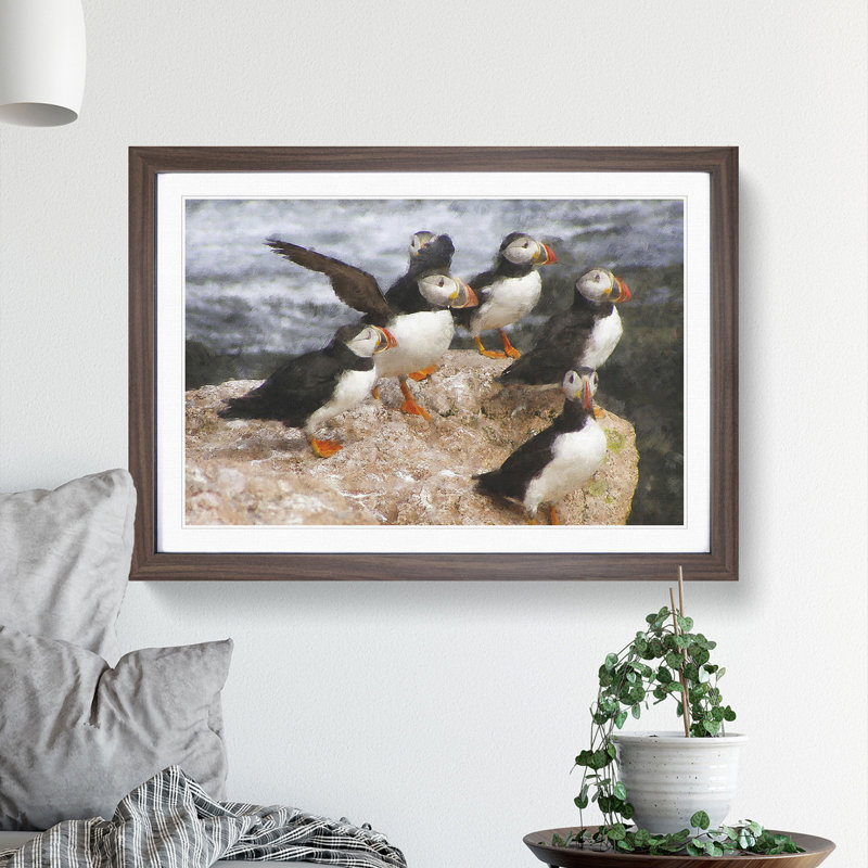Atlantic Puffin Birds Vol.3 - Picture Frame Graphic Art, Walnut Framed, 48cm H x 65cm W x 2cm D