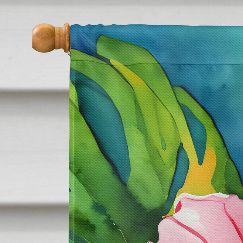 Drapeau de maison en polyester à double face H 40 po x l 28 po