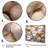 " Beige Clam Seashell Symphony I "-331431947-331431948