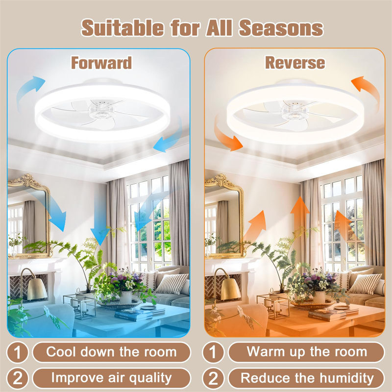 Ceiling Fan with LED Lights, Clear