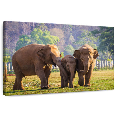 Brampt Asian Elephant Family