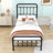 Assunta Metal Platform Bed with Headboard-794205387