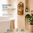 EcoDecors Teak Shower Caddy Wall Mounted Bathroom Shelf – Solid Teak Hanging Shower Organizer for Shampoo, Soap & Bath Accessories