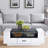 White and Black Coffee Table with Storage