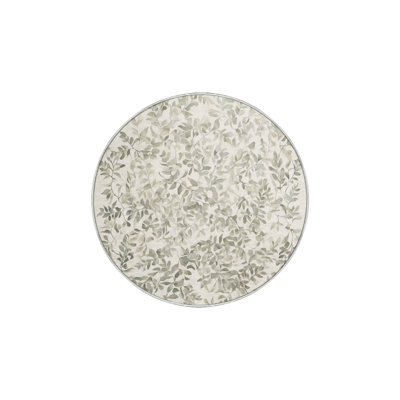 Machine Washable Beige Area Rug