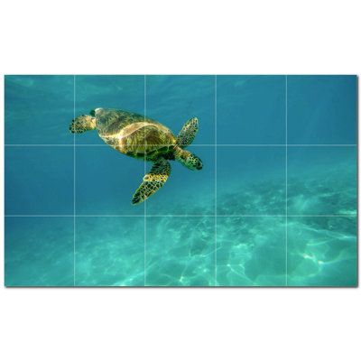 Turtle Photo 8'' x 8'' Satin Ceramic Decorative Mural