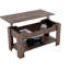 Anavictoria Lift Top Four Leg Coffee Table with Storage-672833666-672833667