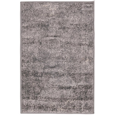 Janousek Oriental Indoor Rug