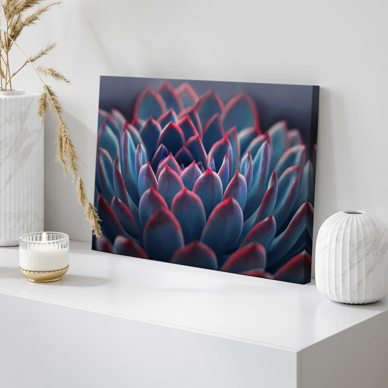 «Desert Rose Succulent Southwest» sur, H 16 po x l 24 po