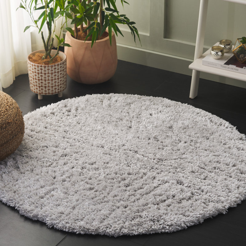 Jaydn Indie Shag Performance Solid Color Rug, Round 4'