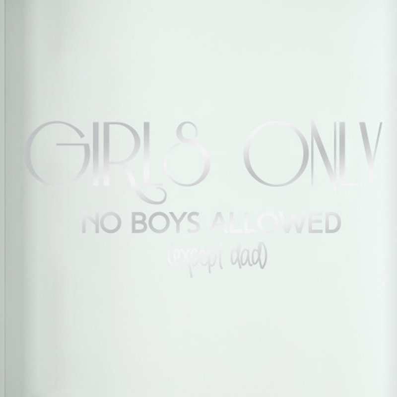 Non-Wall Damaging Wall Decal, Shiny Silver