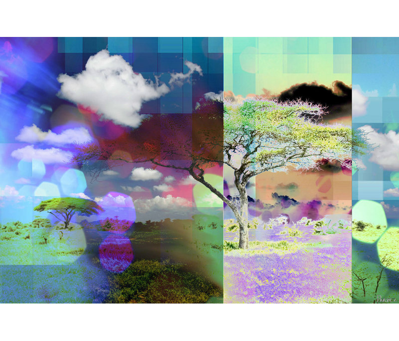 1 Piece Wrapped Canvas Wall Art, 61cm H x 91cm W