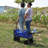 Folding Wagon Garden Shopping Beach Cart (Blue)