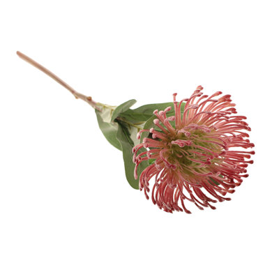 Banksia Arrangement