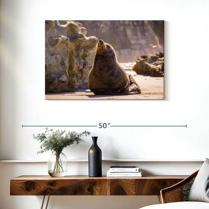 Sunbathing Seal, 24" H x 36" W