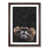 Walnut Framed