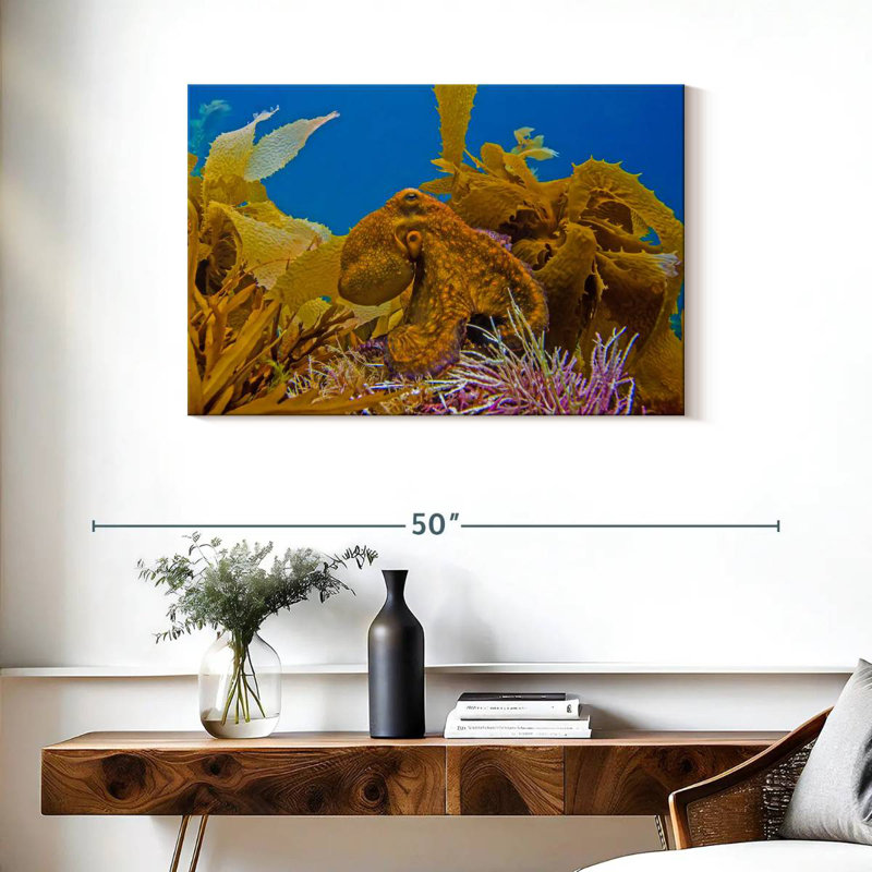 Crowle Reef Octopus And, 24" H x 36" W