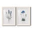 Lavande - ensemble de 2 reproductions d'impressions-484035940-484035728-467967548
