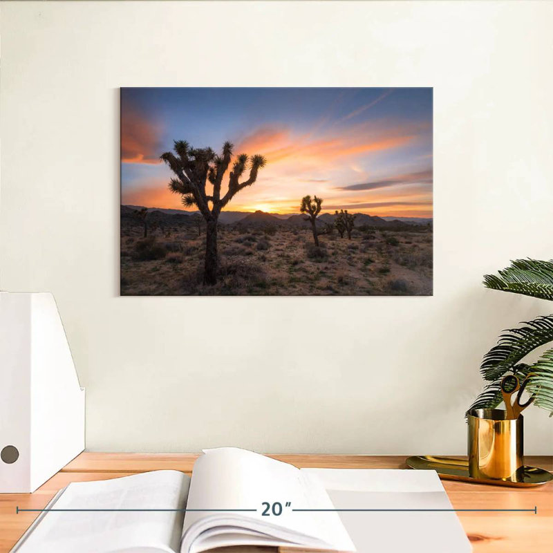 Harnek Joshua Tree Desert Morning, H 8 po x l 12 po