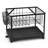 Gourmet Basics by Mikasa Pisa Two-Tier Dish Rack